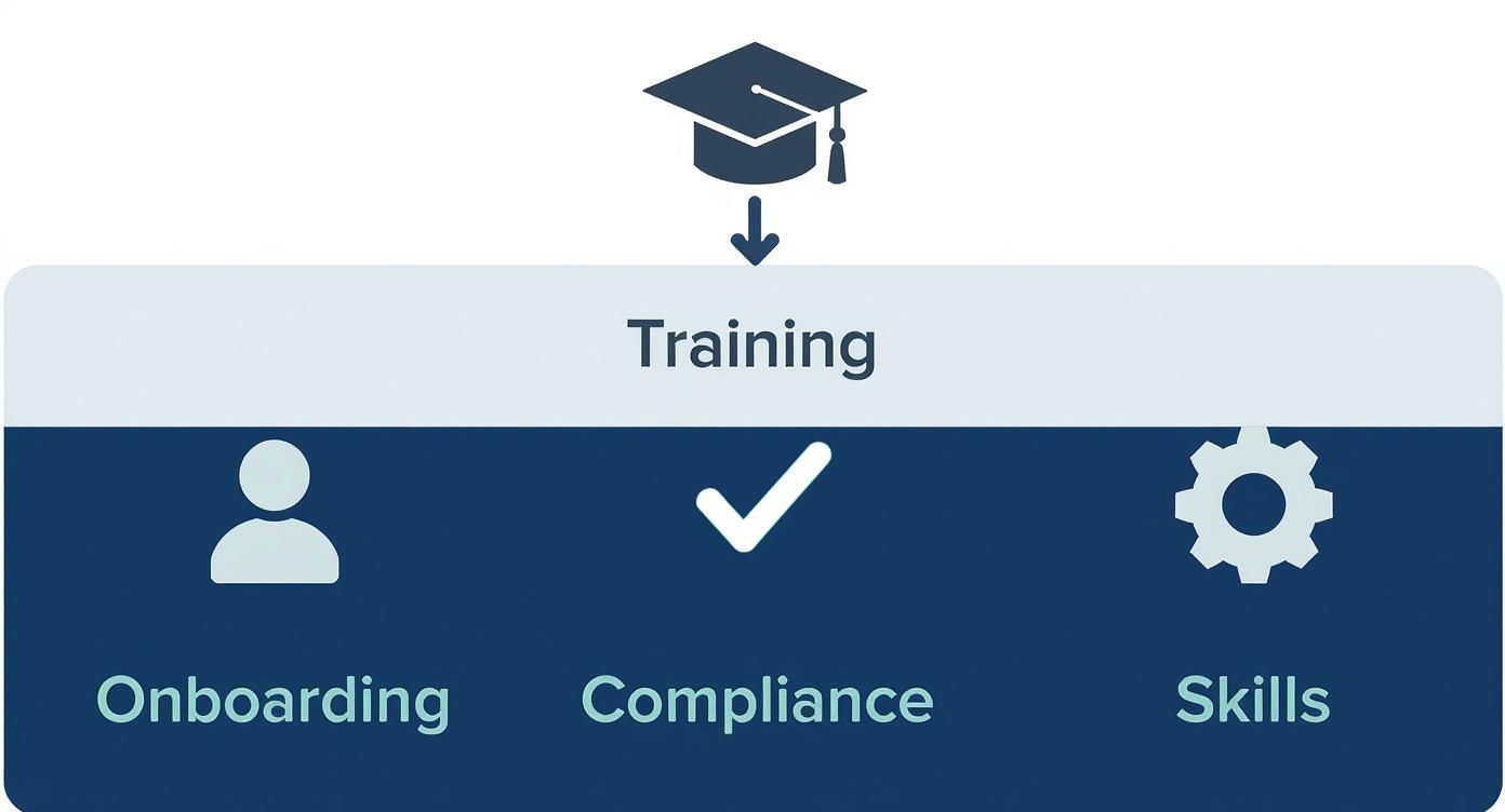 An infographic showing a hierarchy diagram for corporate training uses, starting with Training at the top and branching down to Onboarding, Compliance, and Skills.