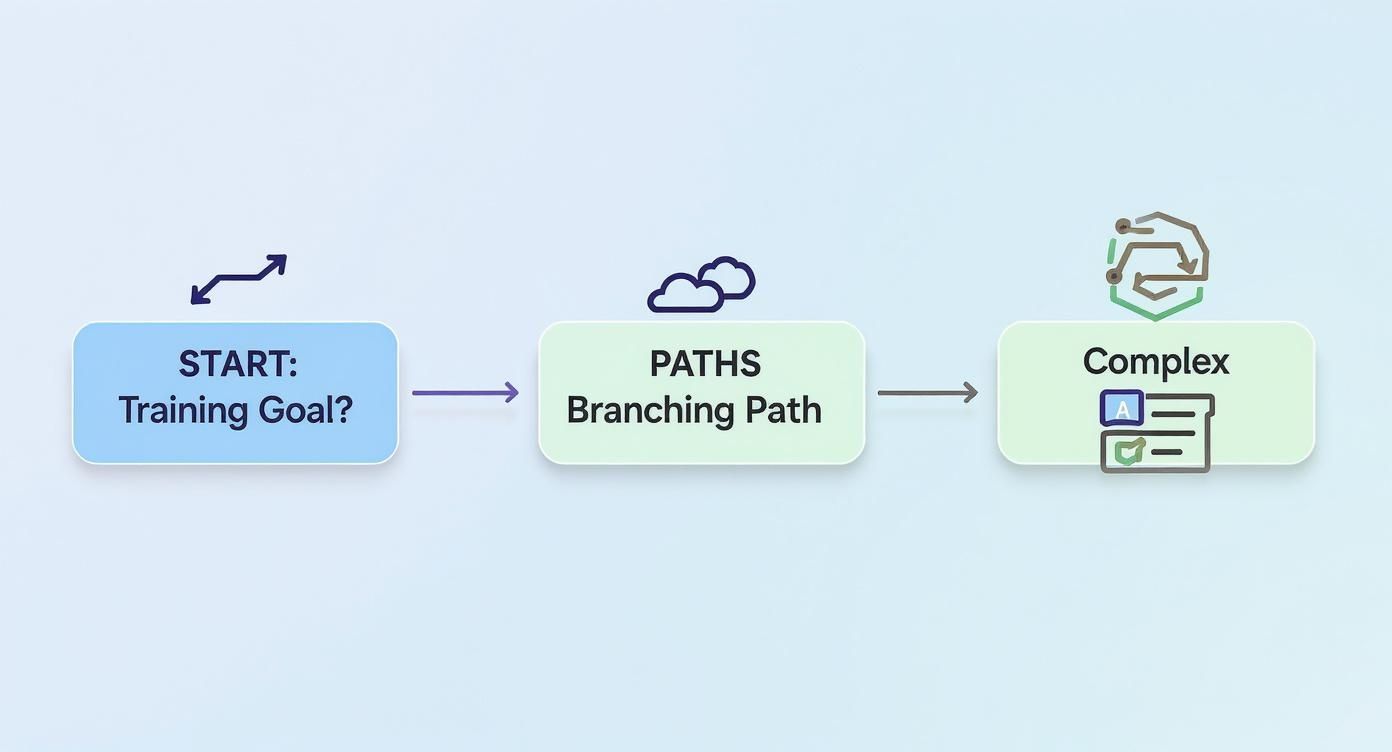 Workflow diagram showing three stages: training goal start, branching paths, and complex completion process