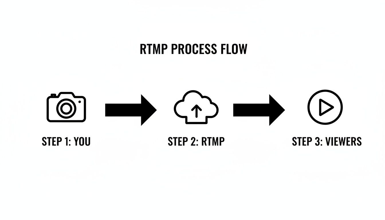 Flow diagram illustrating the RTMP live streaming process from a content creator to viewers.