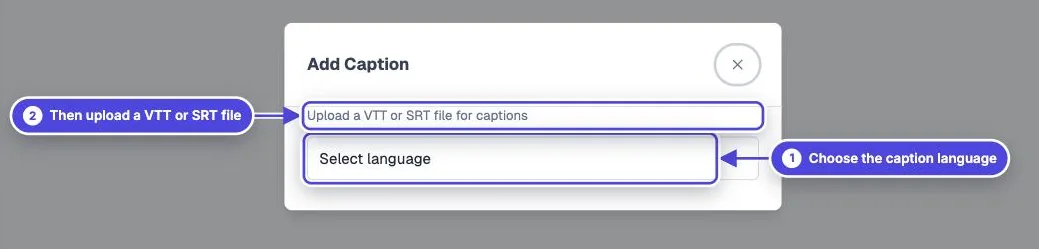 Add Caption dialog in Mindstamp with the language menu and the VTT or SRT upload