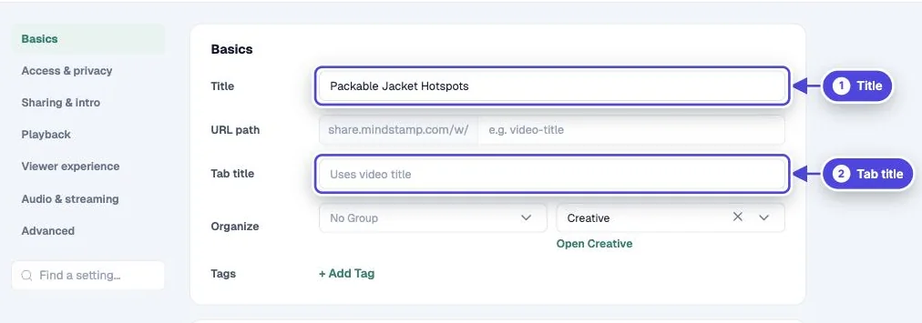 Mindstamp video Settings, Basics section, with the Title and Tab title fields
